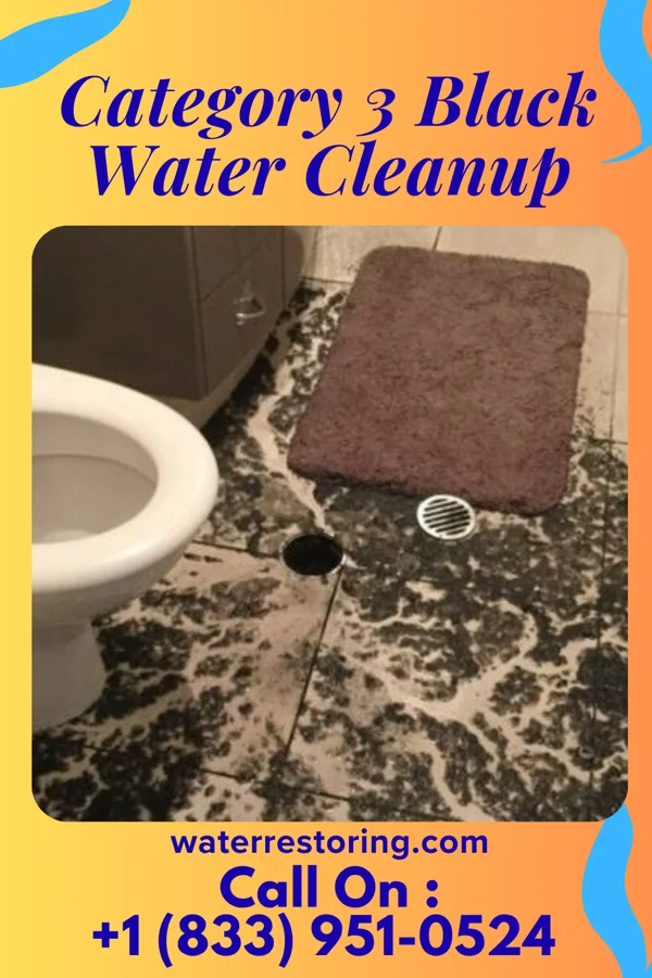 Category 3 Black Water Cleanup in Hamilton College, NY