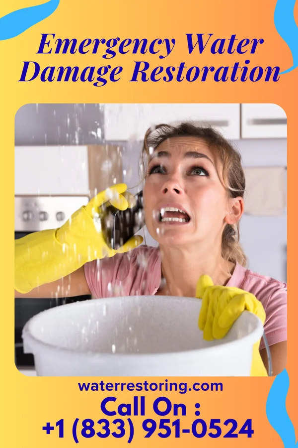 Emergency Water Damage Restoration in Hamilton College, NY