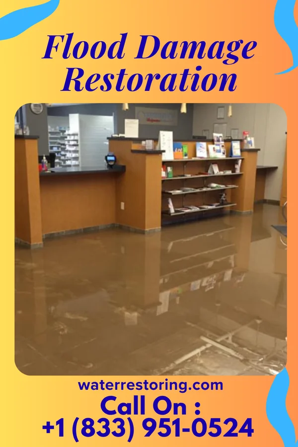 Flood Damage Restoration in Hamilton College, NY