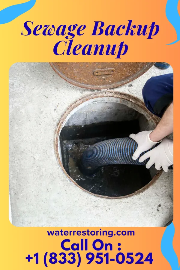 Sewage Backup Cleanup in Hamilton College, NY