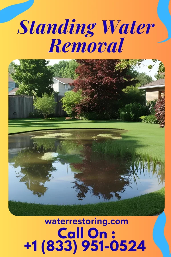 Standing Water Removal in Hamilton College, NY